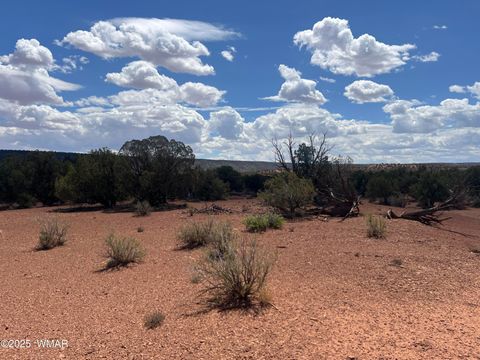 Tiny photo for 3801 Tonto Road, Snowflake, AZ 85937 (MLS # 256758)