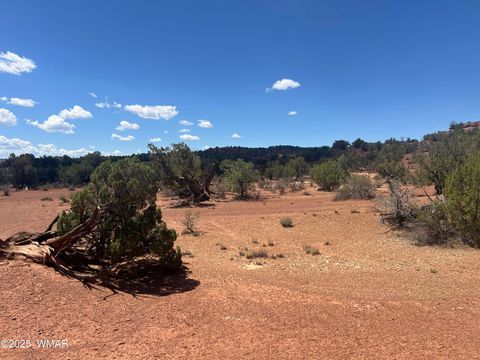 Tiny photo for 3801 Tonto Road, Snowflake, AZ 85937 (MLS # 256758)