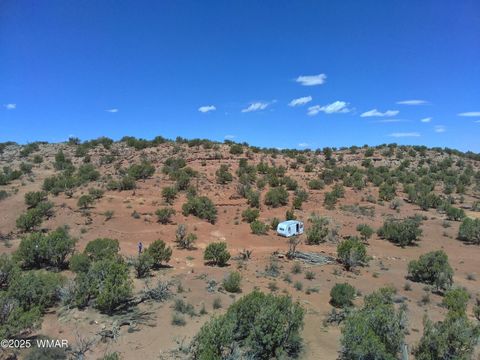 Tiny photo for 3801 Tonto Road, Snowflake, AZ 85937 (MLS # 256758)
