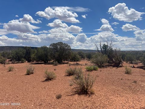 Tiny photo for 3801 Tonto Road, Snowflake, AZ 85937 (MLS # 256758)