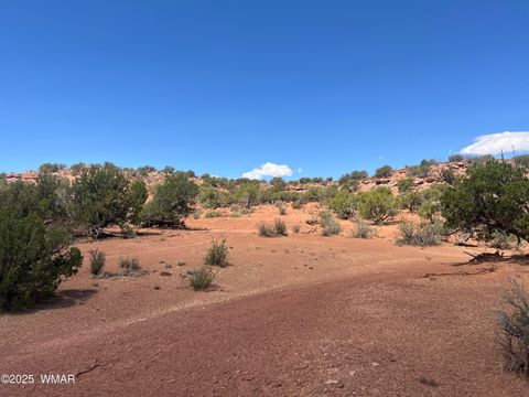 Tiny photo for 3801 Tonto Road, Snowflake, AZ 85937 (MLS # 256758)