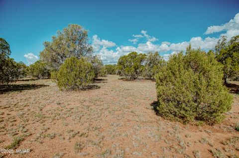 Tiny photo for 0 Pulp Mill Road, Clay Springs, AZ 85923 (MLS # 258266)