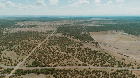 Tiny photo for 0 Pulp Mill Road, Clay Springs, AZ 85923 (MLS # 258266)
