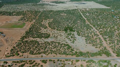 Photo of 0 Pulp Mill Road, Clay Springs, AZ 85923 (MLS # 258266)
