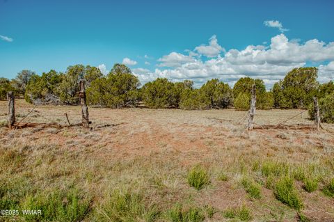 Tiny photo for 0 Pulp Mill Road, Clay Springs, AZ 85923 (MLS # 258266)