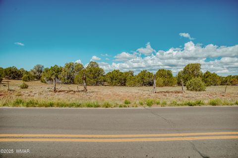 Tiny photo for 0 Pulp Mill Road, Clay Springs, AZ 85923 (MLS # 258266)