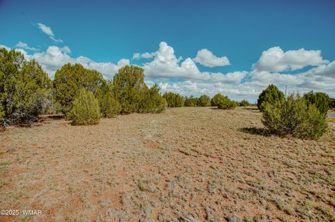Tiny photo for 0 Pulp Mill Road, Clay Springs, AZ 85923 (MLS # 258266)