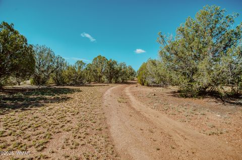 Tiny photo for 0 Pulp Mill Road, Clay Springs, AZ 85923 (MLS # 258266)