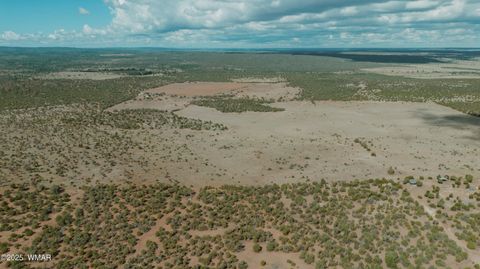Tiny photo for 0 Pulp Mill Road, Clay Springs, AZ 85923 (MLS # 258266)