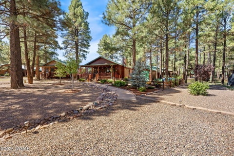 Tiny photo for 2701 Palomino Trail, Overgaard, AZ 85933 (MLS # 262986)