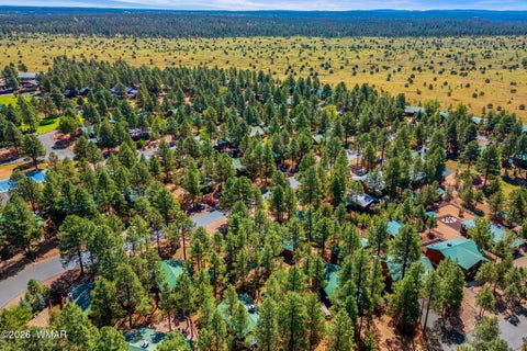 Tiny photo for 2701 Palomino Trail, Overgaard, AZ 85933 (MLS # 262986)