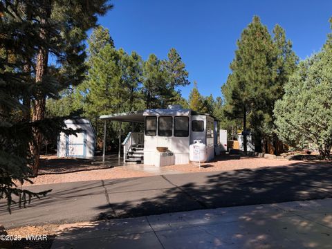 Tiny photo for 2170 E Hanging Tree Trail, Show Low, AZ 85901 (MLS # 258438)