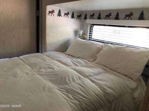 Tiny photo for 2170 E Hanging Tree Trail, Show Low, AZ 85901 (MLS # 258438)