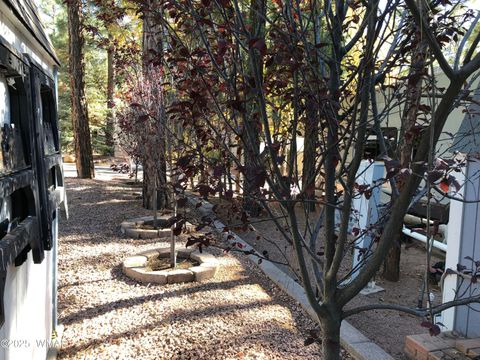 Tiny photo for 2170 E Hanging Tree Trail, Show Low, AZ 85901 (MLS # 258438)