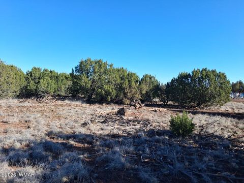 Photo of 1298 Geronimo Drive, Show Low, AZ 85901 (MLS # 260422)