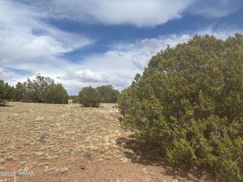 Tiny photo for 8659 CORONADO Drive, Show Low, AZ 85901 (MLS # 255712)