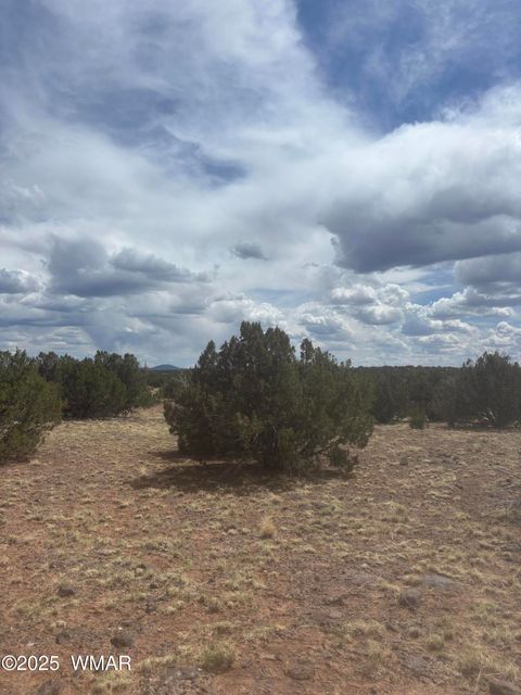 Tiny photo for 8659 CORONADO Drive, Show Low, AZ 85901 (MLS # 255712)