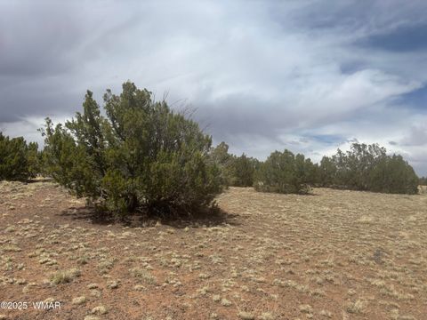 Tiny photo for 8659 CORONADO Drive, Show Low, AZ 85901 (MLS # 255712)