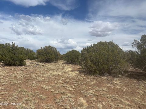 Tiny photo for 8659 CORONADO Drive, Show Low, AZ 85901 (MLS # 255712)