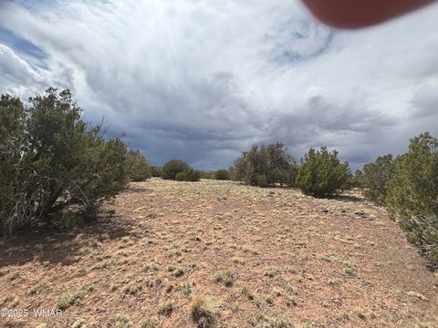 Tiny photo for 8659 CORONADO Drive, Show Low, AZ 85901 (MLS # 255712)