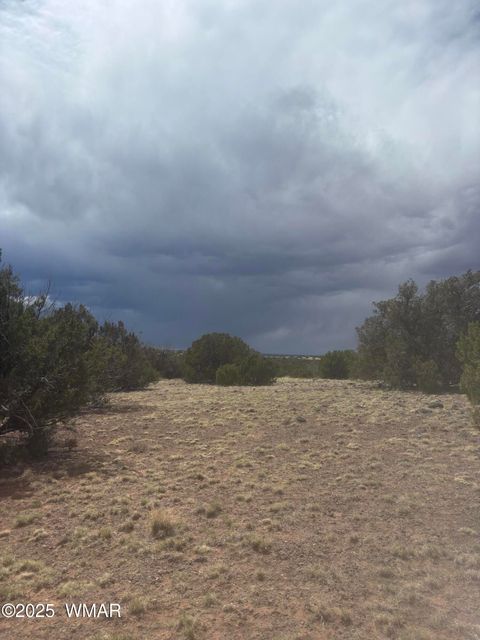 Tiny photo for 8659 CORONADO Drive, Show Low, AZ 85901 (MLS # 255712)