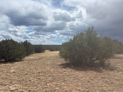 Tiny photo for 8659 CORONADO Drive, Show Low, AZ 85901 (MLS # 255712)