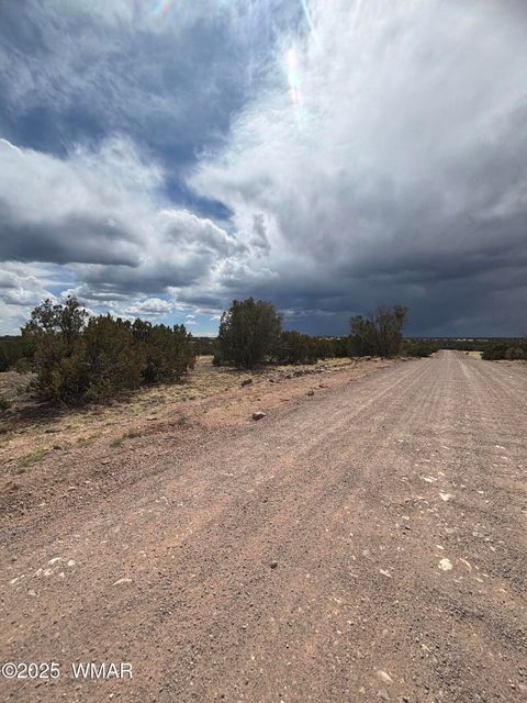 Tiny photo for 8659 CORONADO Drive, Show Low, AZ 85901 (MLS # 255712)