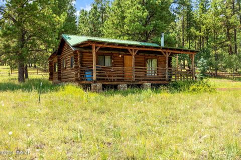 Tiny photo for 7 N1014, Greer, AZ 85927 (MLS # 254688)