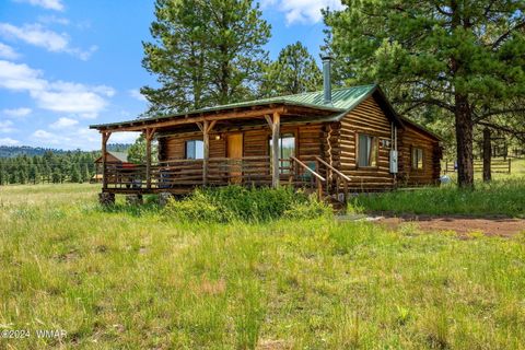 Photo of 7 N1014, Greer, AZ 85927 (MLS # 254688)