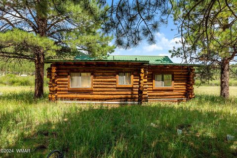 Tiny photo for 7 N1014, Greer, AZ 85927 (MLS # 254688)
