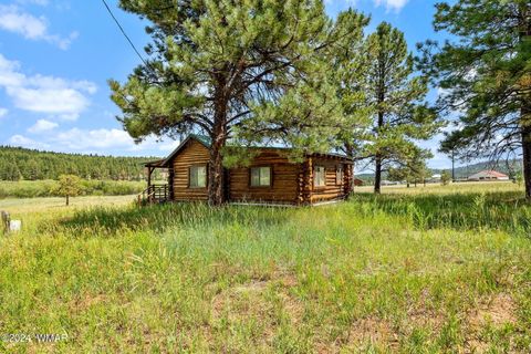 Tiny photo for 7 N1014, Greer, AZ 85927 (MLS # 254688)