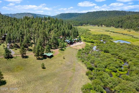 Tiny photo for 7 N1014, Greer, AZ 85927 (MLS # 254688)