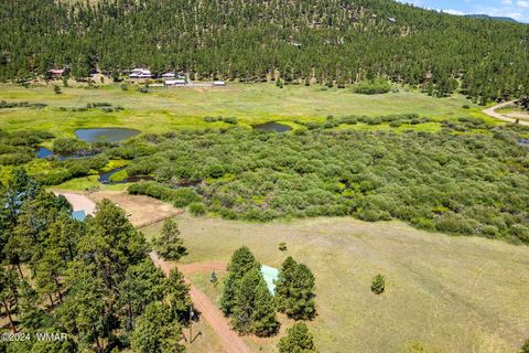 Tiny photo for 7 N1014, Greer, AZ 85927 (MLS # 254688)