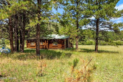 Tiny photo for 7 N1014, Greer, AZ 85927 (MLS # 254688)