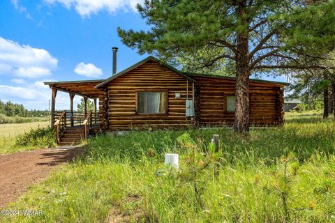 Tiny photo for 7 N1014, Greer, AZ 85927 (MLS # 254688)