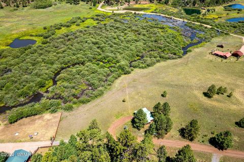 Tiny photo for 7 N1014, Greer, AZ 85927 (MLS # 254688)