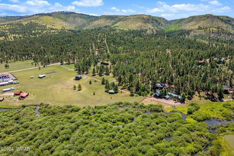 Tiny photo for 7 N1014, Greer, AZ 85927 (MLS # 254688)
