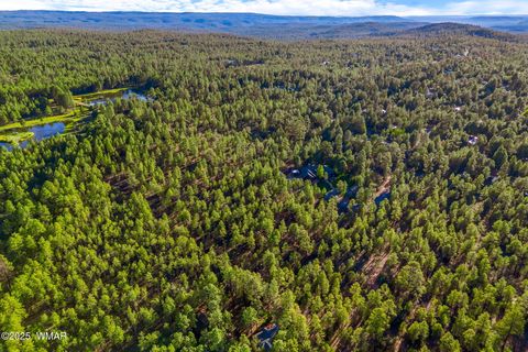 Tiny photo for 2332 Hall Drive, Lakeside, AZ 85929 (MLS # 257953)