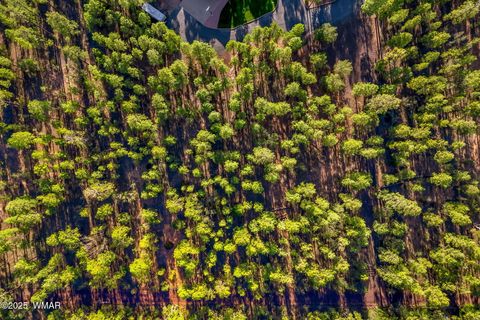 Tiny photo for 2332 Hall Drive, Lakeside, AZ 85929 (MLS # 257953)