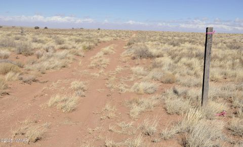 Tiny photo for 8037 Uttecht Trail, Snowflake, AZ 85937 (MLS # 254517)
