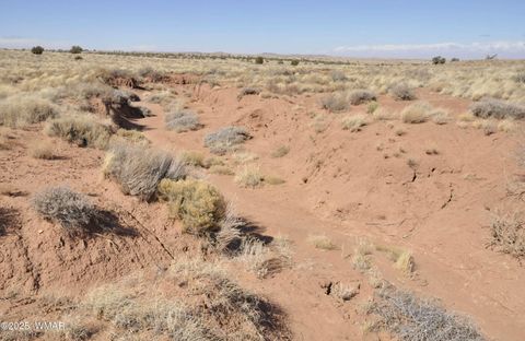 Tiny photo for 8037 Uttecht Trail, Snowflake, AZ 85937 (MLS # 254517)