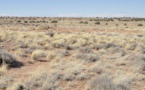 Photo of 8037 Uttecht Trail, Snowflake, AZ 85937 (MLS # 254517)