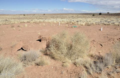 Tiny photo for 8037 Uttecht Trail, Snowflake, AZ 85937 (MLS # 254517)