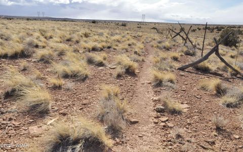 Tiny photo for 8037 Uttecht Trail, Snowflake, AZ 85937 (MLS # 254517)