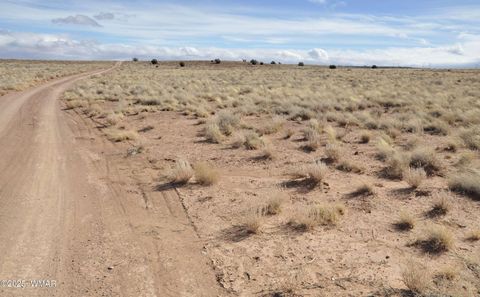 Tiny photo for 8037 Uttecht Trail, Snowflake, AZ 85937 (MLS # 254517)