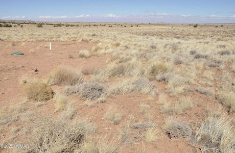 Tiny photo for 8037 Uttecht Trail, Snowflake, AZ 85937 (MLS # 254517)