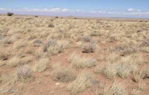 Tiny photo for 8037 Uttecht Trail, Snowflake, AZ 85937 (MLS # 254517)