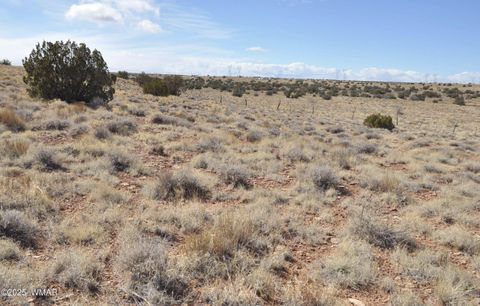 Tiny photo for 8037 Uttecht Trail, Snowflake, AZ 85937 (MLS # 254517)
