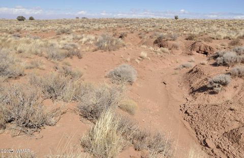 Tiny photo for 8037 Uttecht Trail, Snowflake, AZ 85937 (MLS # 254517)