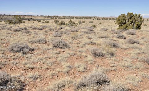 Tiny photo for 8037 Uttecht Trail, Snowflake, AZ 85937 (MLS # 254517)